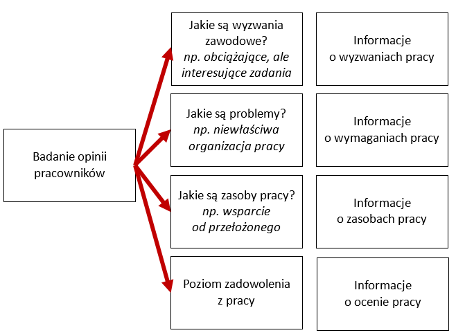 Informacje możliwe do uzyskania w efekcie badania opinii pracowników Informacje możliwe do uzyskania w efekcie badania opinii pracowników